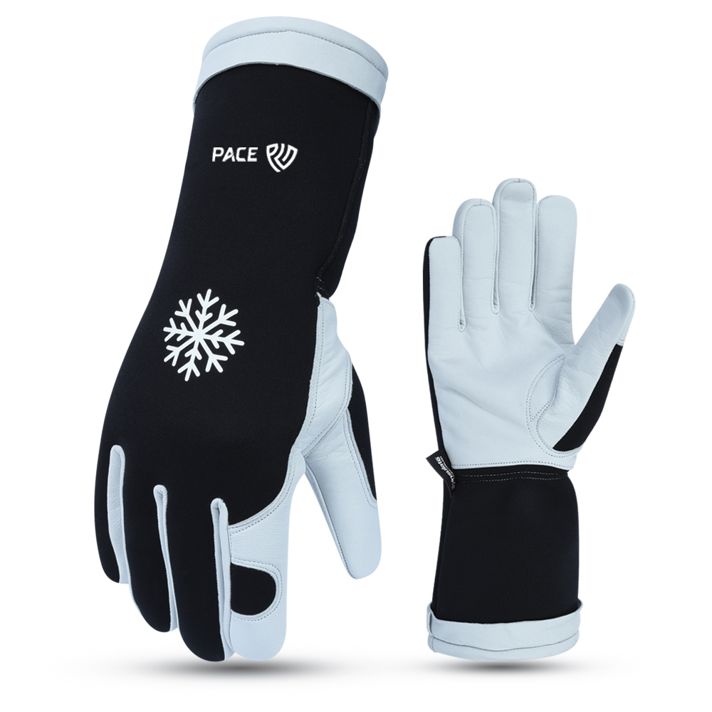 Winter Gloves