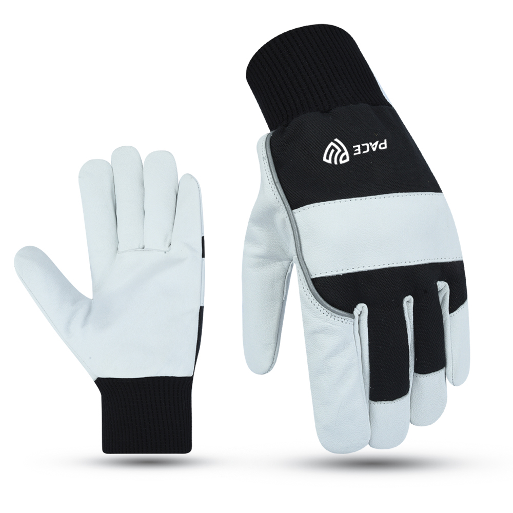Winter Gloves